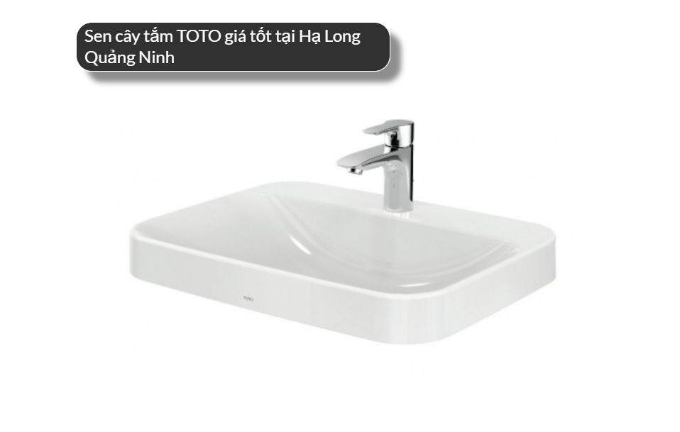 cung cấp Bồn rừa mặt ToTo Hạ Long